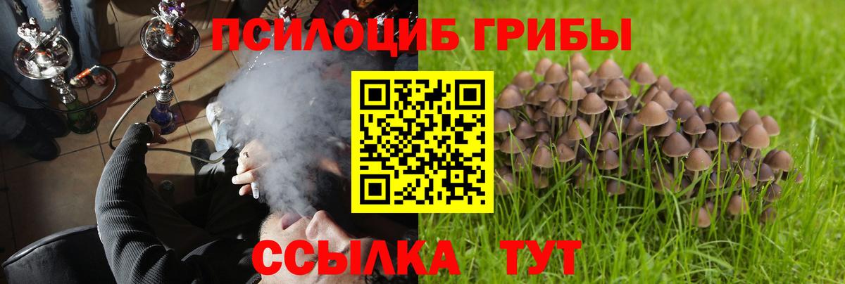 Галлюциногенные грибы мухоморы Кизилюрт